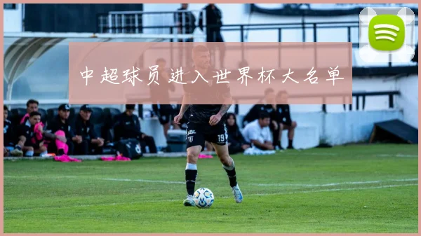 中超球员进入世界杯大名单