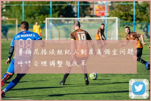 鲁梅尼格谈经纪人制度高佣金问题呼吁合理调整与改革