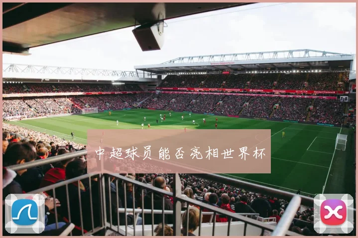 中超球员能否亮相世界杯