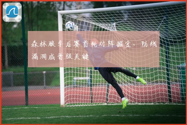 森林狼季后赛首轮对阵掘金，防线漏洞成晋级关键