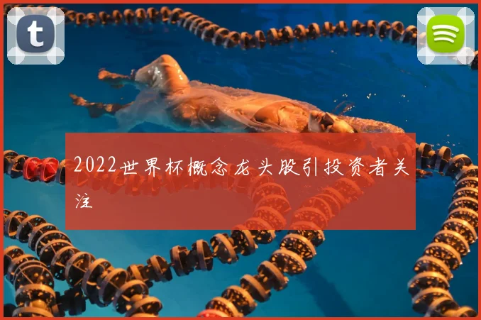2022世界杯概念龙头股引投资者关注