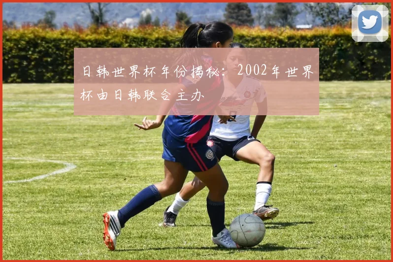 日韩世界杯年份揭秘：2002年世界杯由日韩联合主办