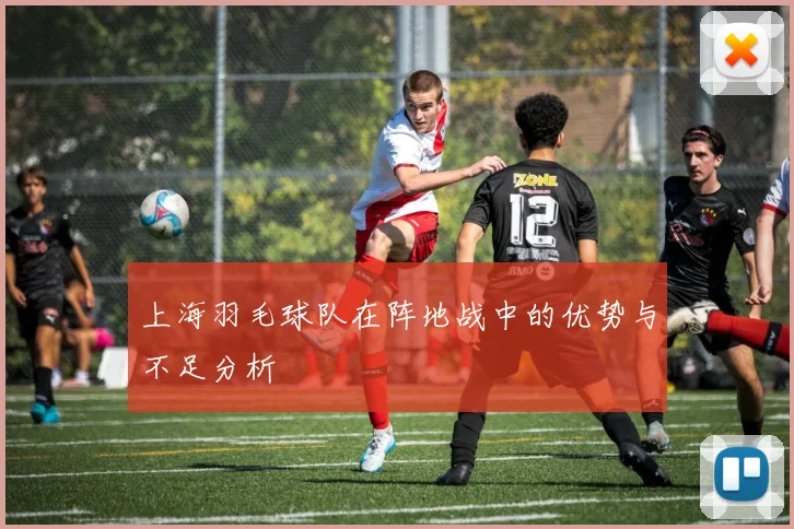 上海羽毛球队在阵地战中的优势与不足分析