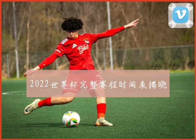 2022世界杯完整赛程时间表揭晓