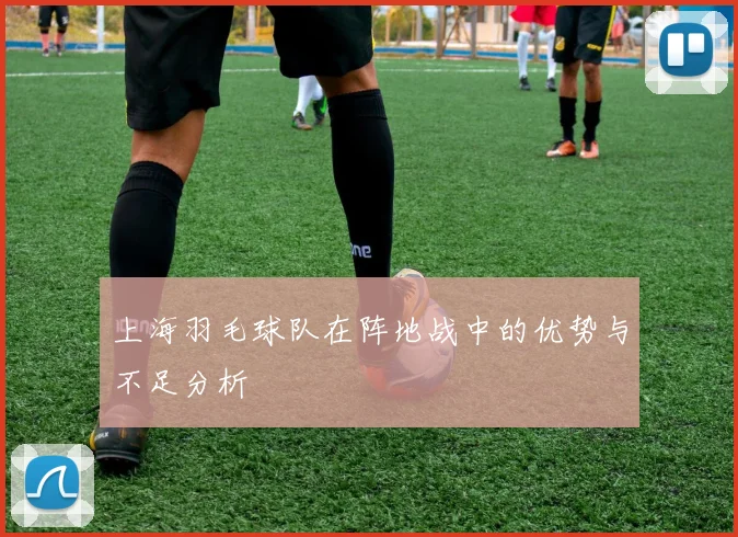 上海羽毛球队在阵地战中的优势与不足分析