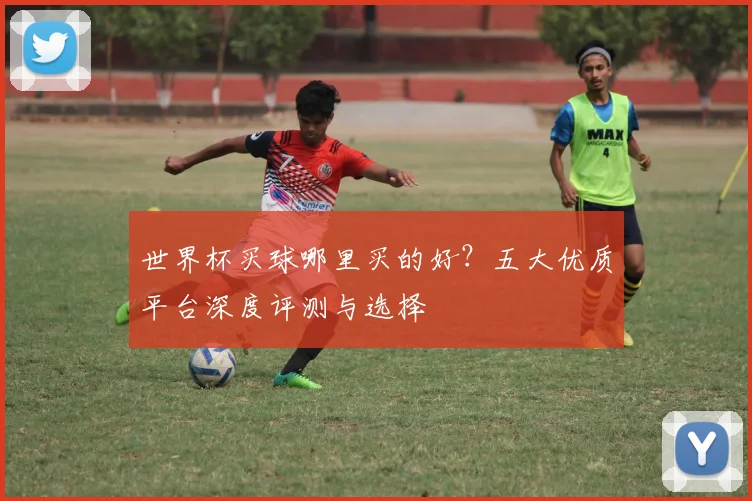 世界杯买球哪里买的好?五大优质平台深度评测与选择
